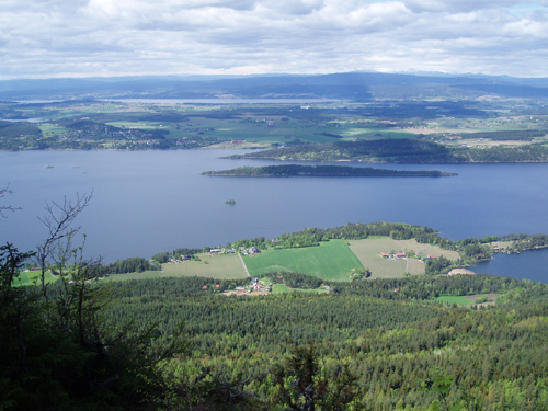 Utsiktpunkt over mørkganga, krokskogen