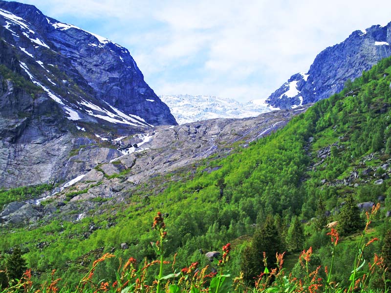 sommer i norge Jostedalsbreen i bakgrunn